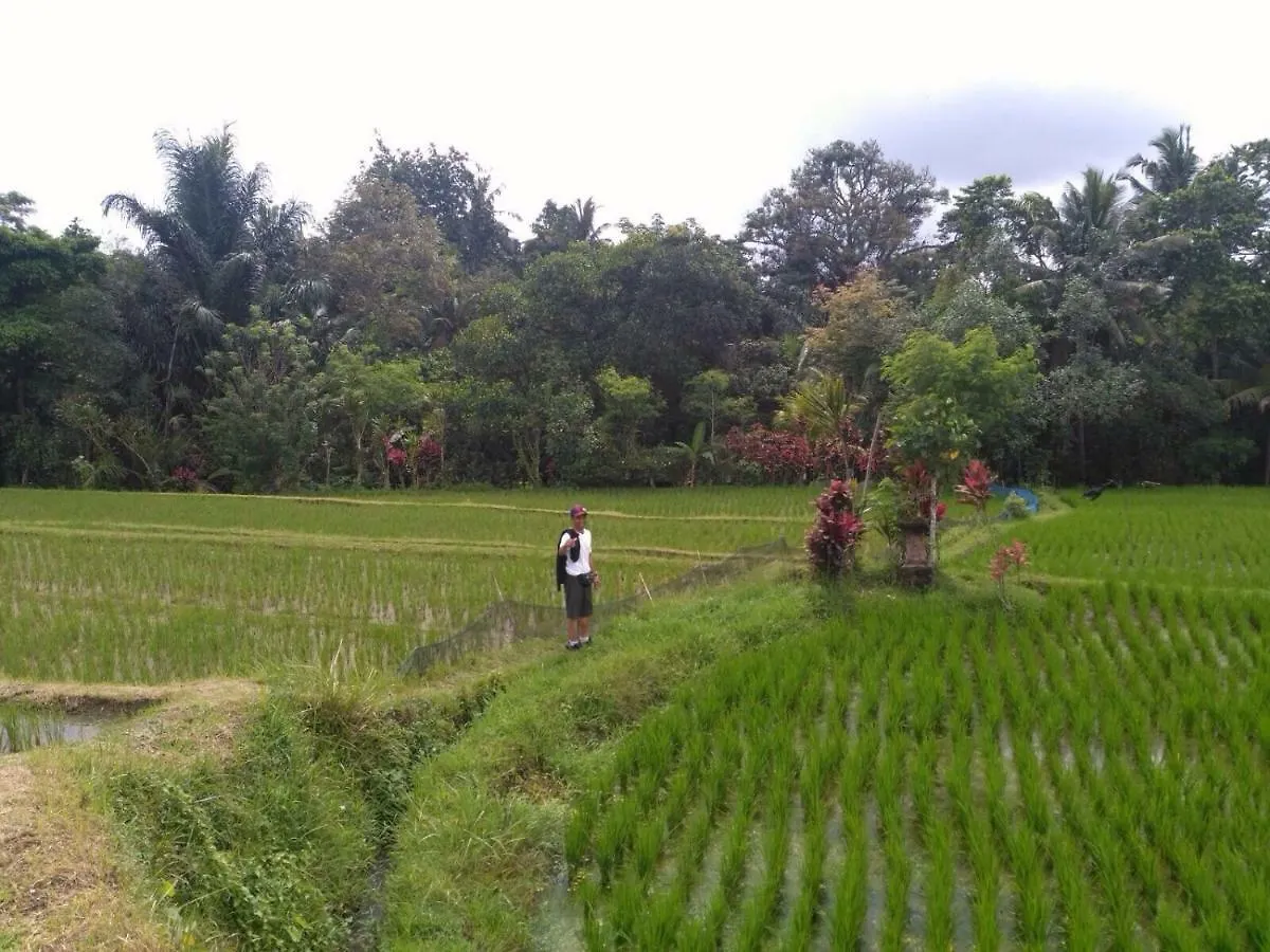 Guest house Bali Asli Lodge By Eps Ubud